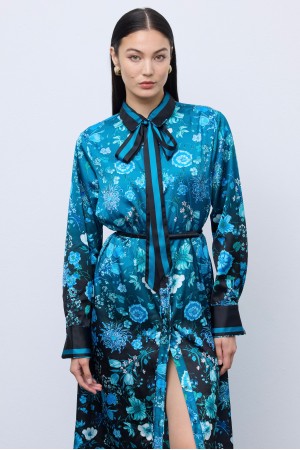 Skyfall Bloom Shirtdress